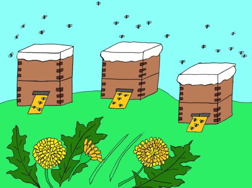 Глава 9. Пчелы